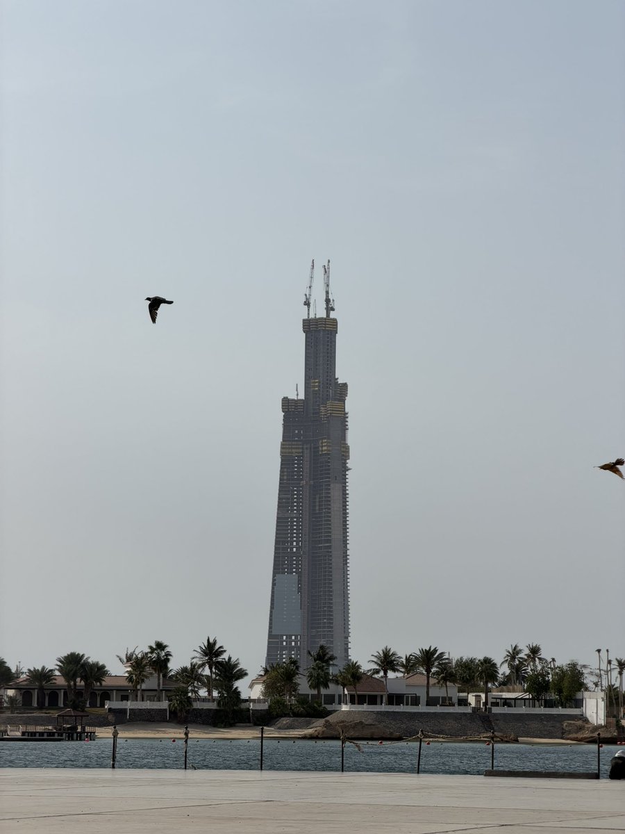 Rov 🎨🌊 tweet media