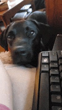 Keith Staley tweet media