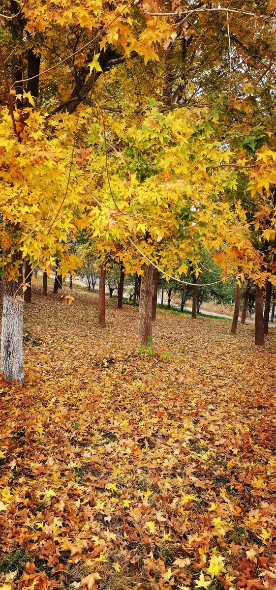 Miranda Jones tweet media