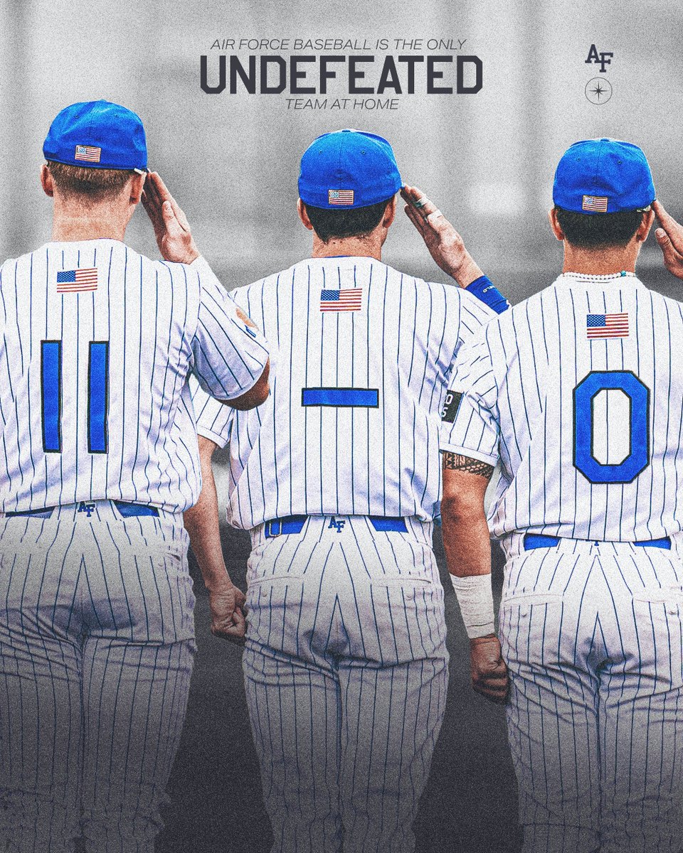 Air Force Baseball tweet media
