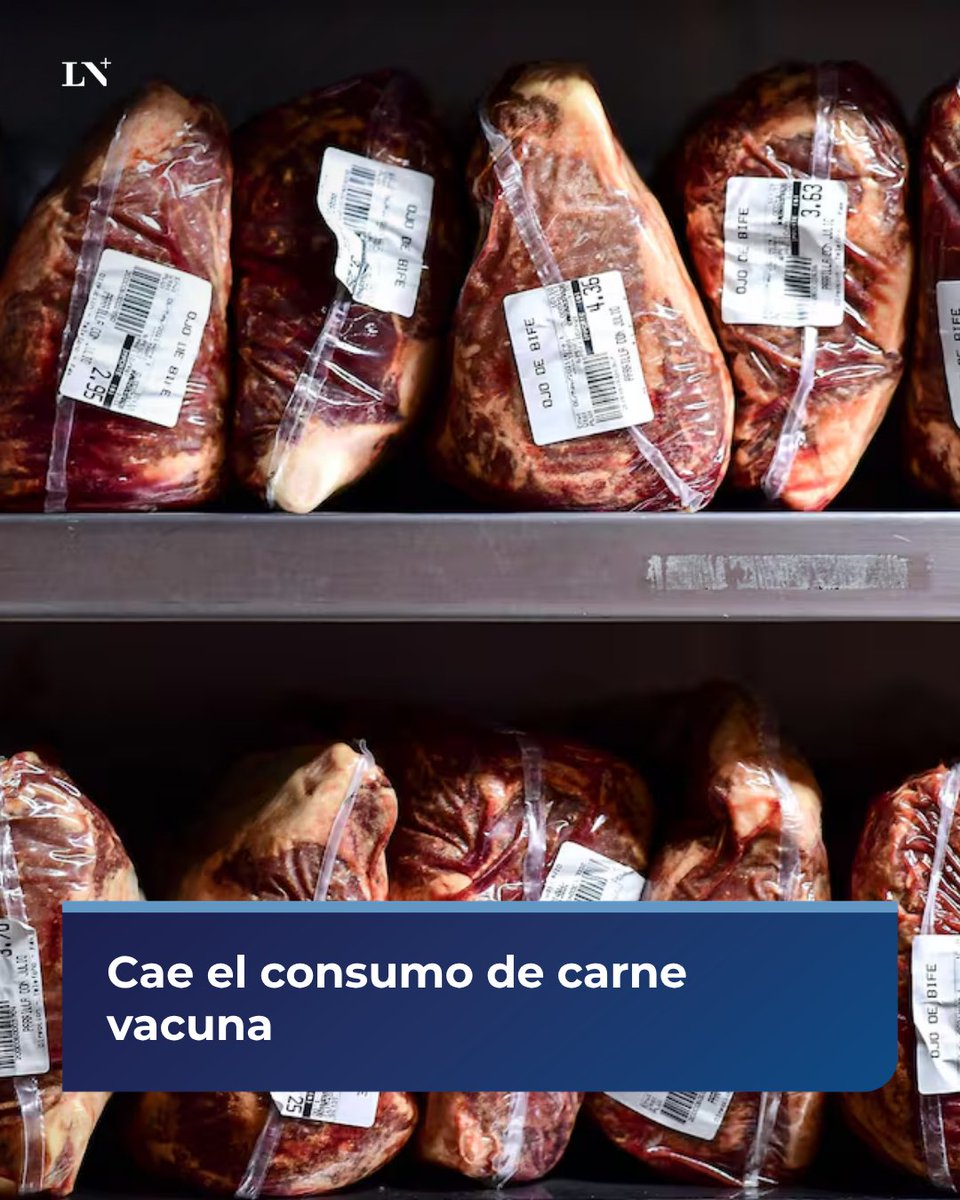 🔷 Cae el consumo de carne vacuna

Pasó de 49,5 kg a 44,5 kg anuales por persona. Además, su precio subió un 64% interanual.

📌 En vivo por LN+
