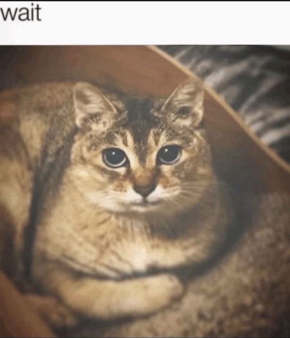 liliam꩜ tweet media