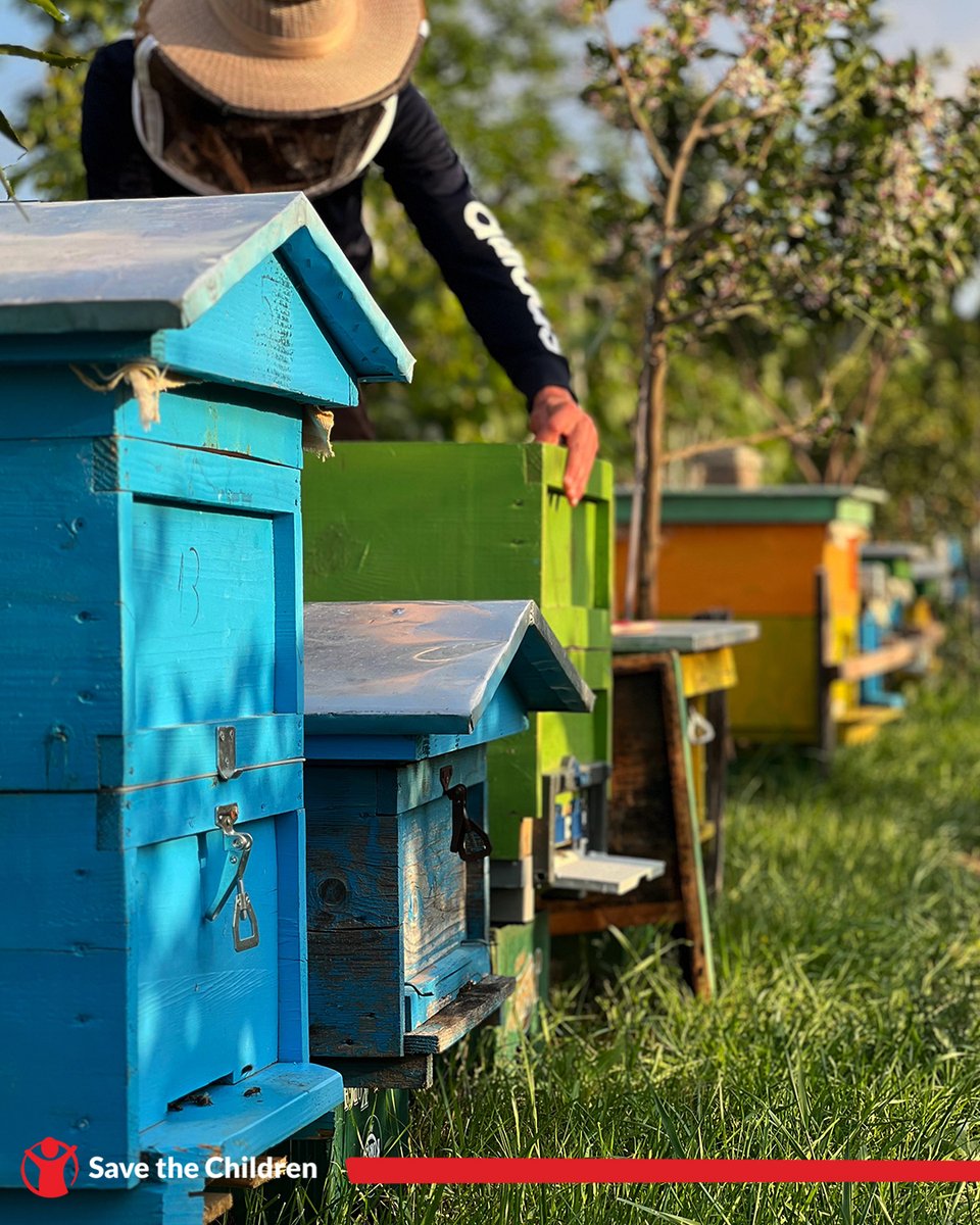 SaveChildrenAlb's tweet image. Arjon, 21, from Vau i Dejes turned his passion for beekeeping into a business through the #Power4AY Start-Up grant in Shkoder. With 20 hives and equipment, he now aims to build a bee park and create a local organic honey brand. #Youth #Entrepreneurship