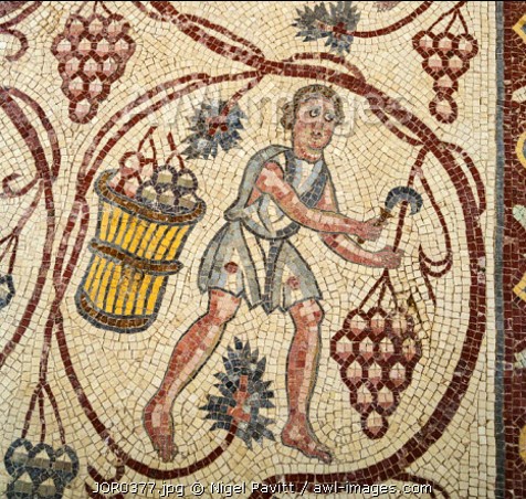 romanhistory1's tweet photo. Today is Vinalia urbana which is the Roman wine festival. This involves opening last years wine production to start drinking it. This wine could not be bought into Rome for sale until this date. Jupiter was offered the first samples by the high priest, the flamens dialis. https://t.co/Lk3iyySBLo
