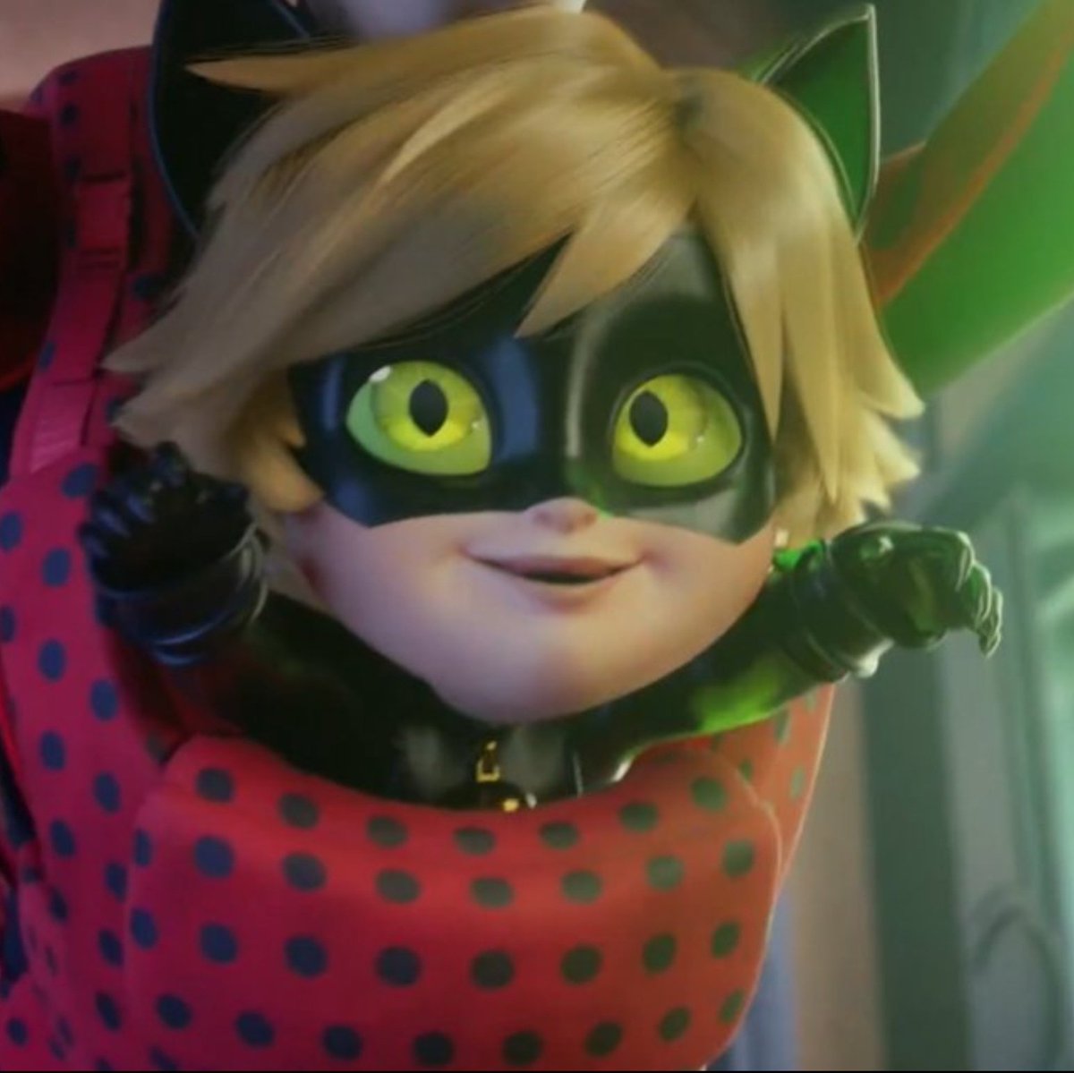 🐞🐈‍⬛ tweet media