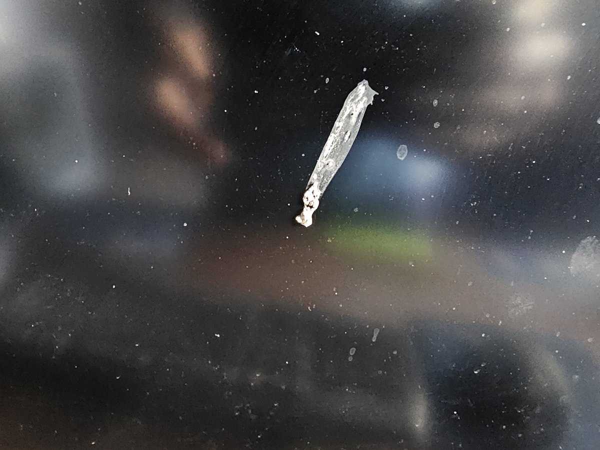 Dan Vasc tweet media