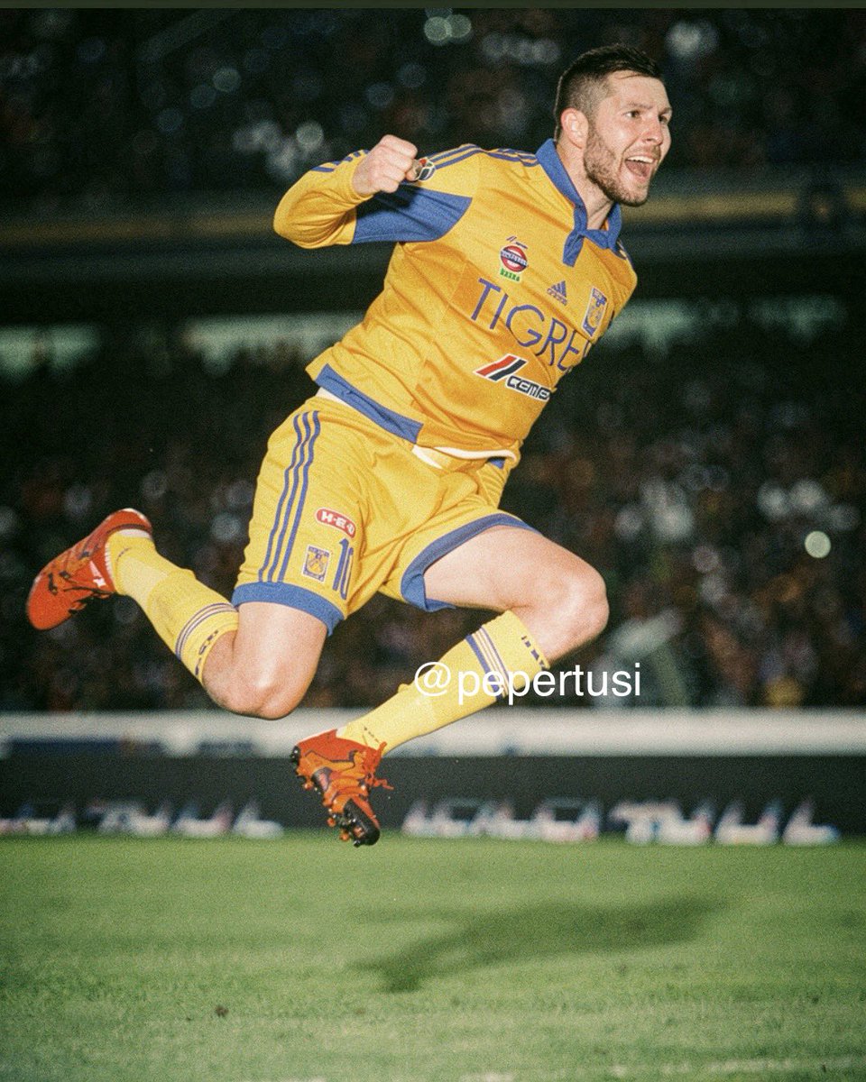 pepertusi tweet media