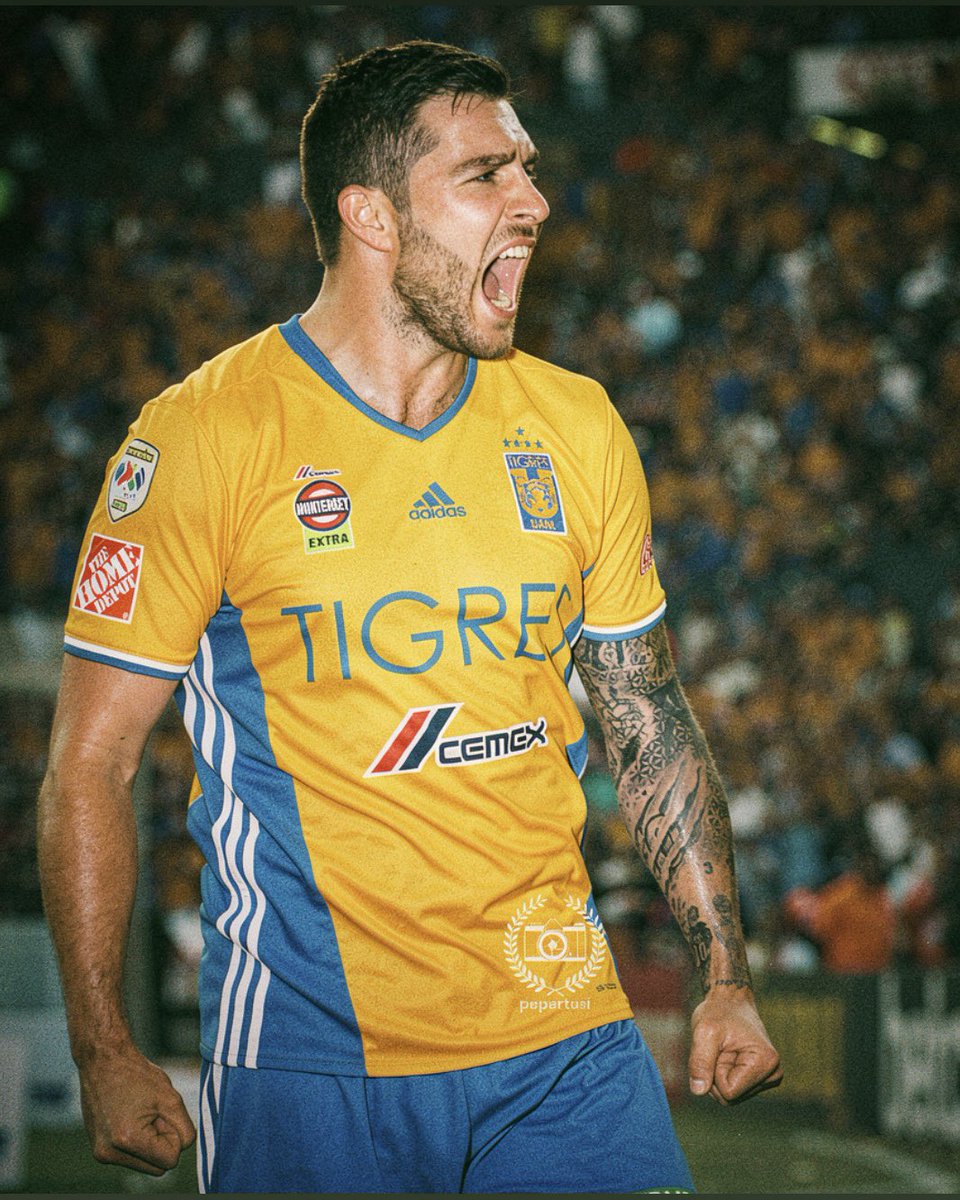 pepertusi tweet media