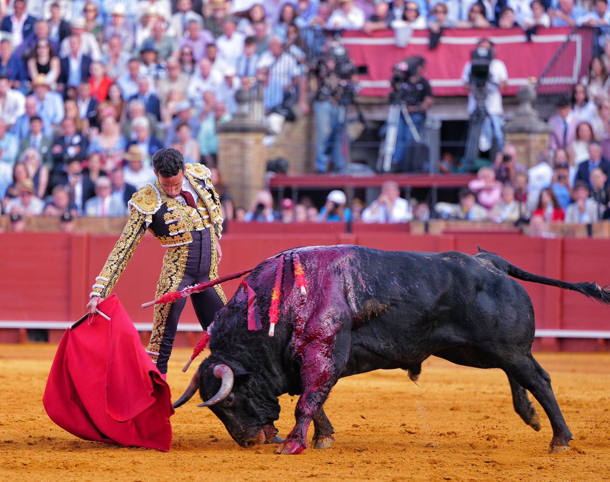 Alamares_largos tweet media