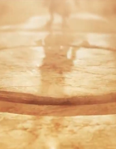 DachshundWizard 🧙‍♂️ tweet media