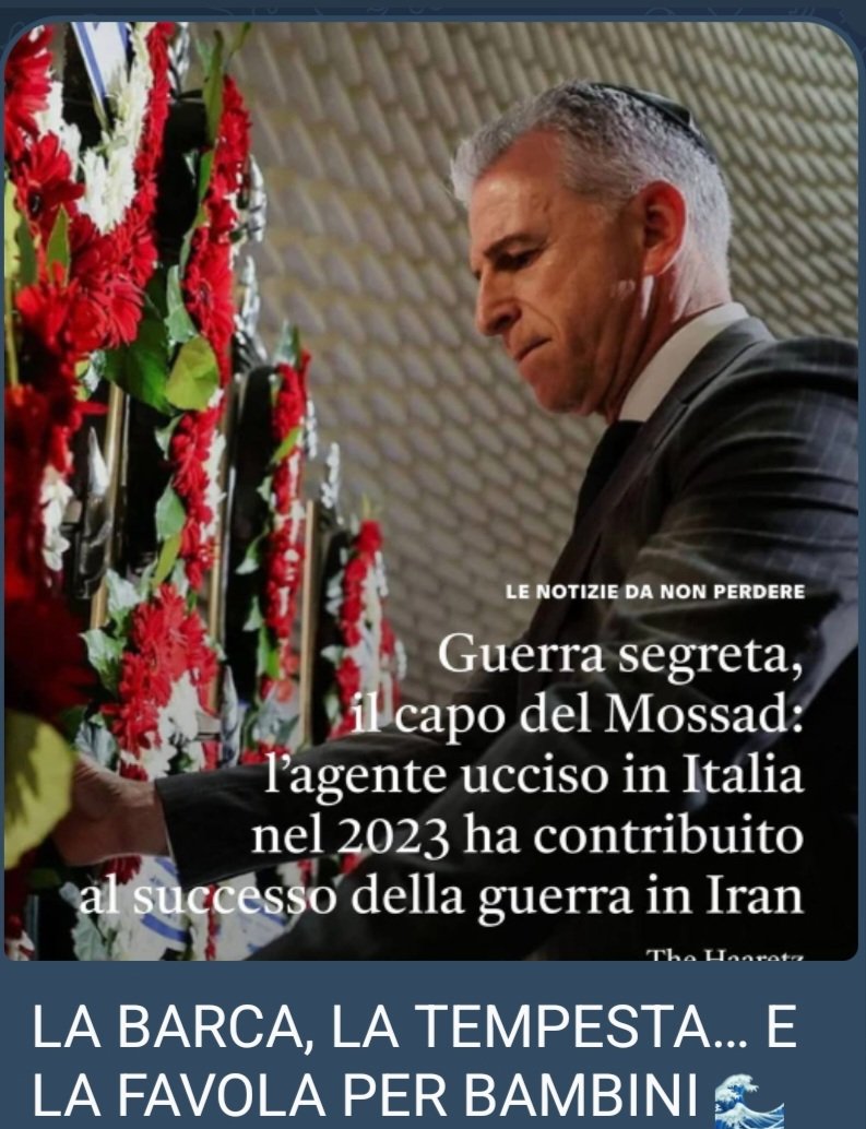 Noi o meglio il governo complici con i sionisti del mossad x organizzare l'agressione a Iran diventando mandanti di assassini
