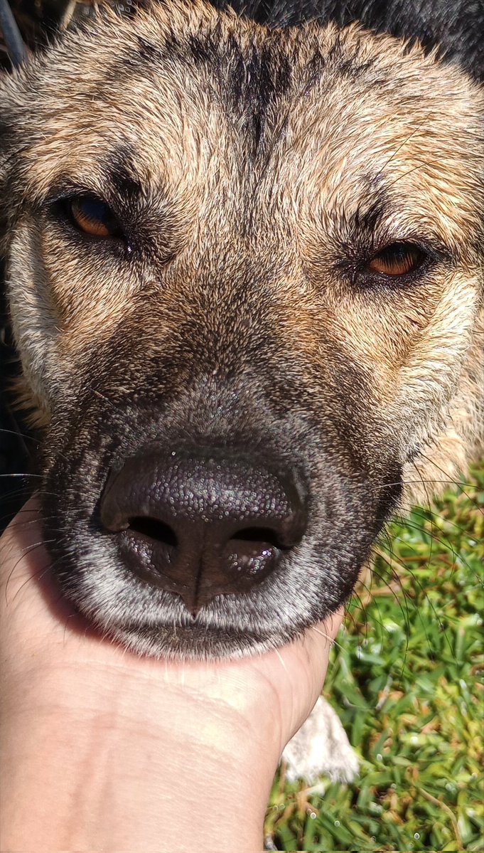 Lotus 🪷 tweet media