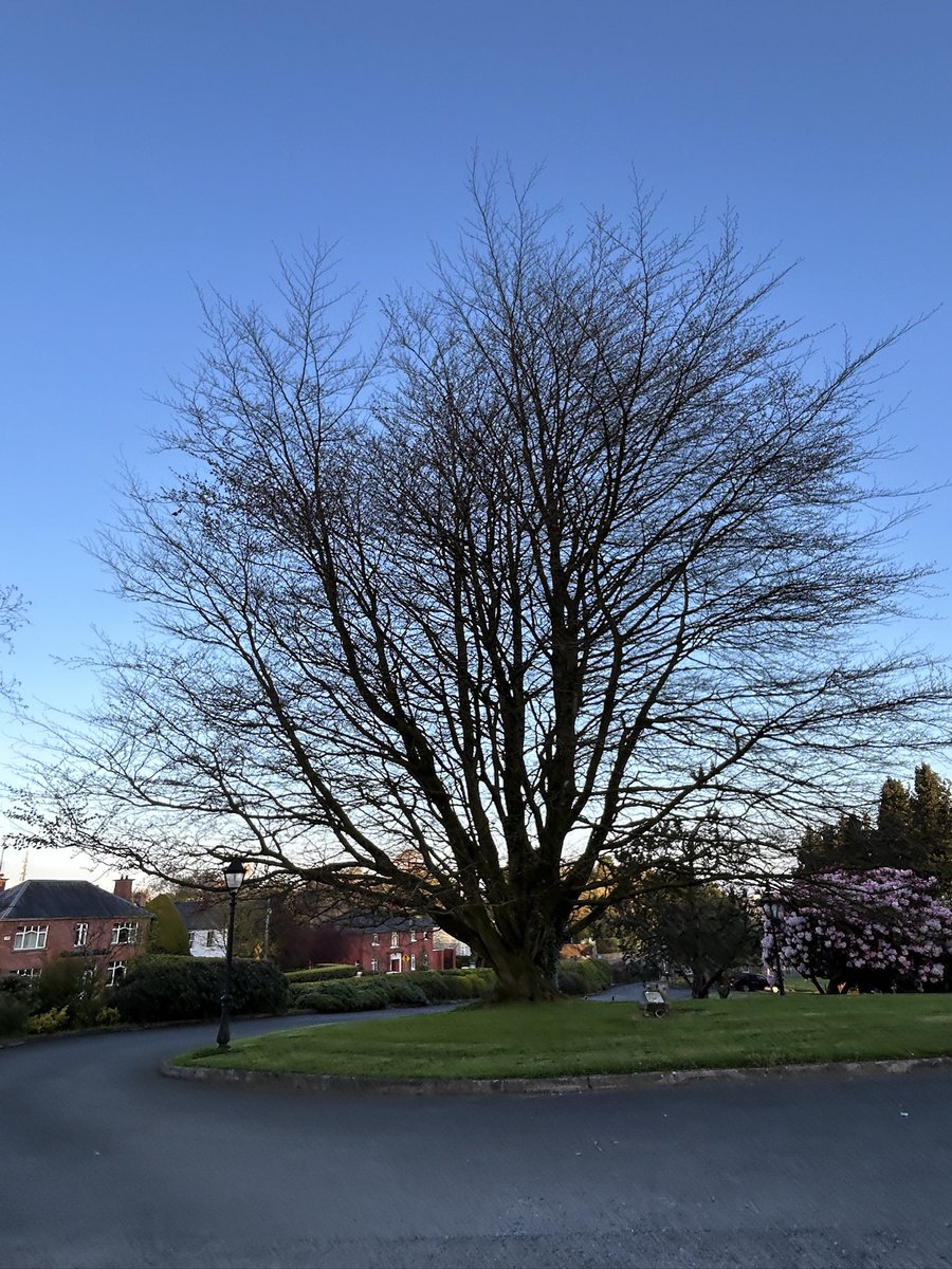 MacGiollaBhainM's tweet image. Day 112 #100daysofwalking #200daysofwalking #365daysofwalking 
A bright, but cold Wednesday morning