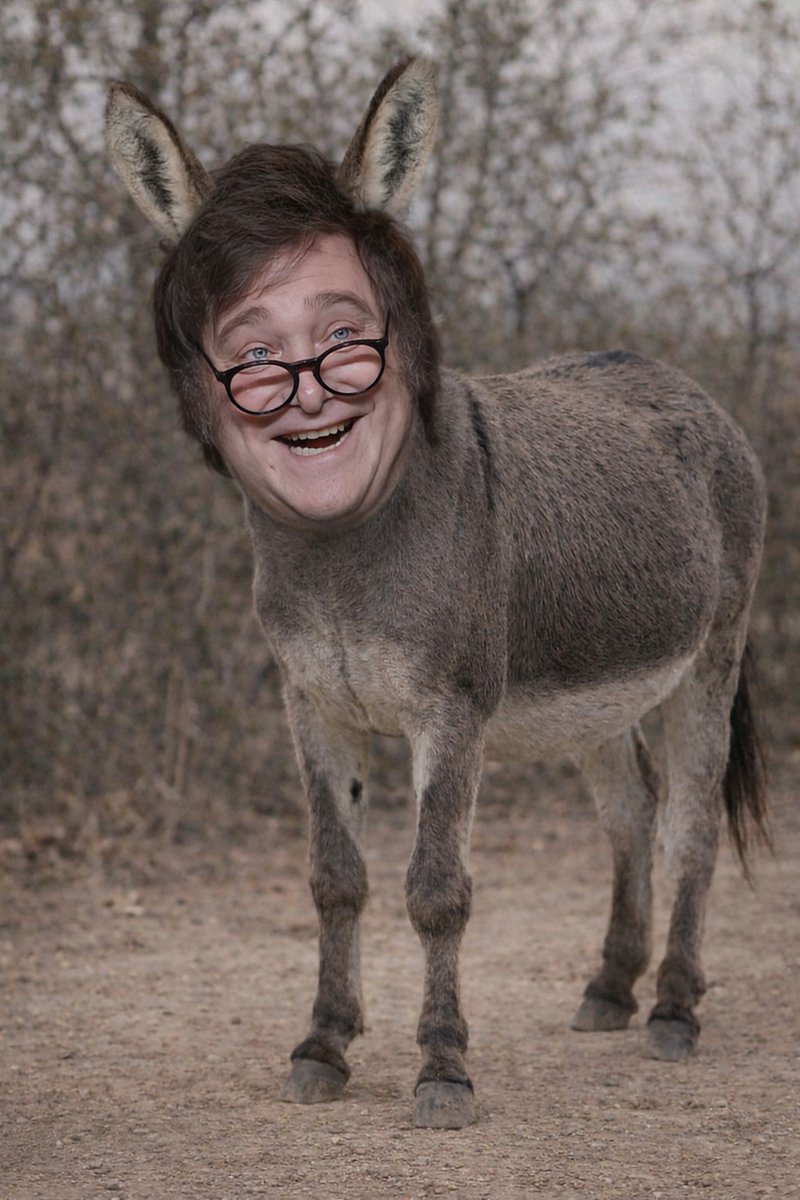 𝗔 𝗟 𝗢 𝗡 𝗦 𝗢 😎 🆄︎ tweet media