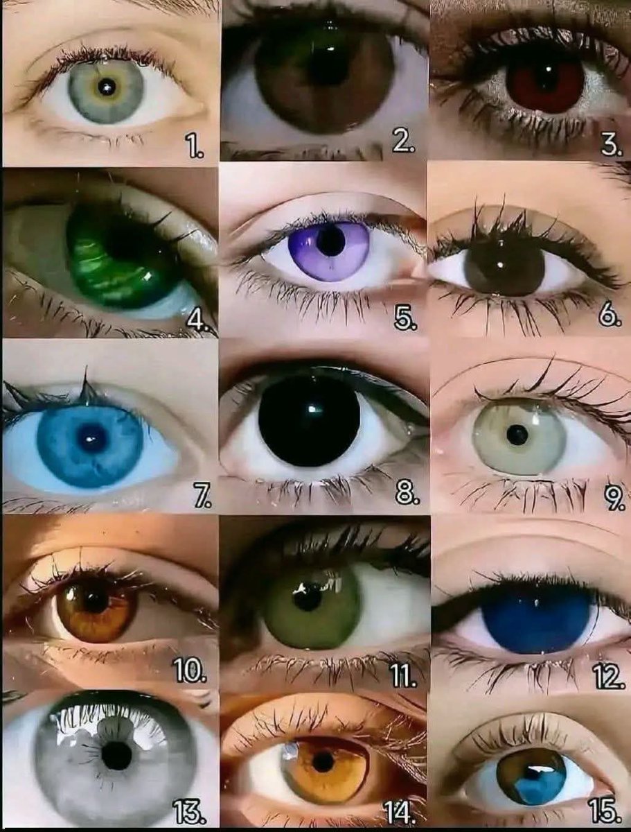 Sarah ♥️ tweet media