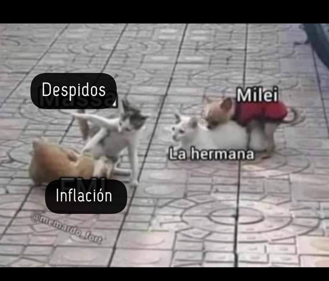 mijael✊ tweet media