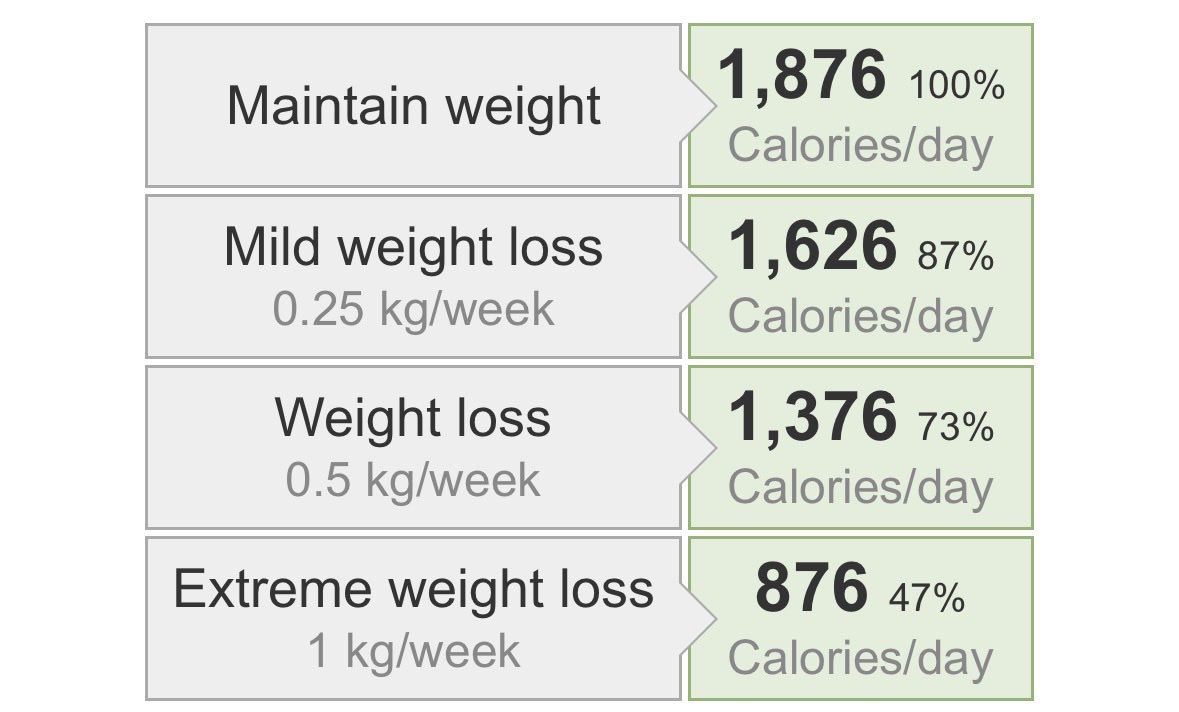 ly ‎ ‎ . ‎ ‎ edtwt tweet media