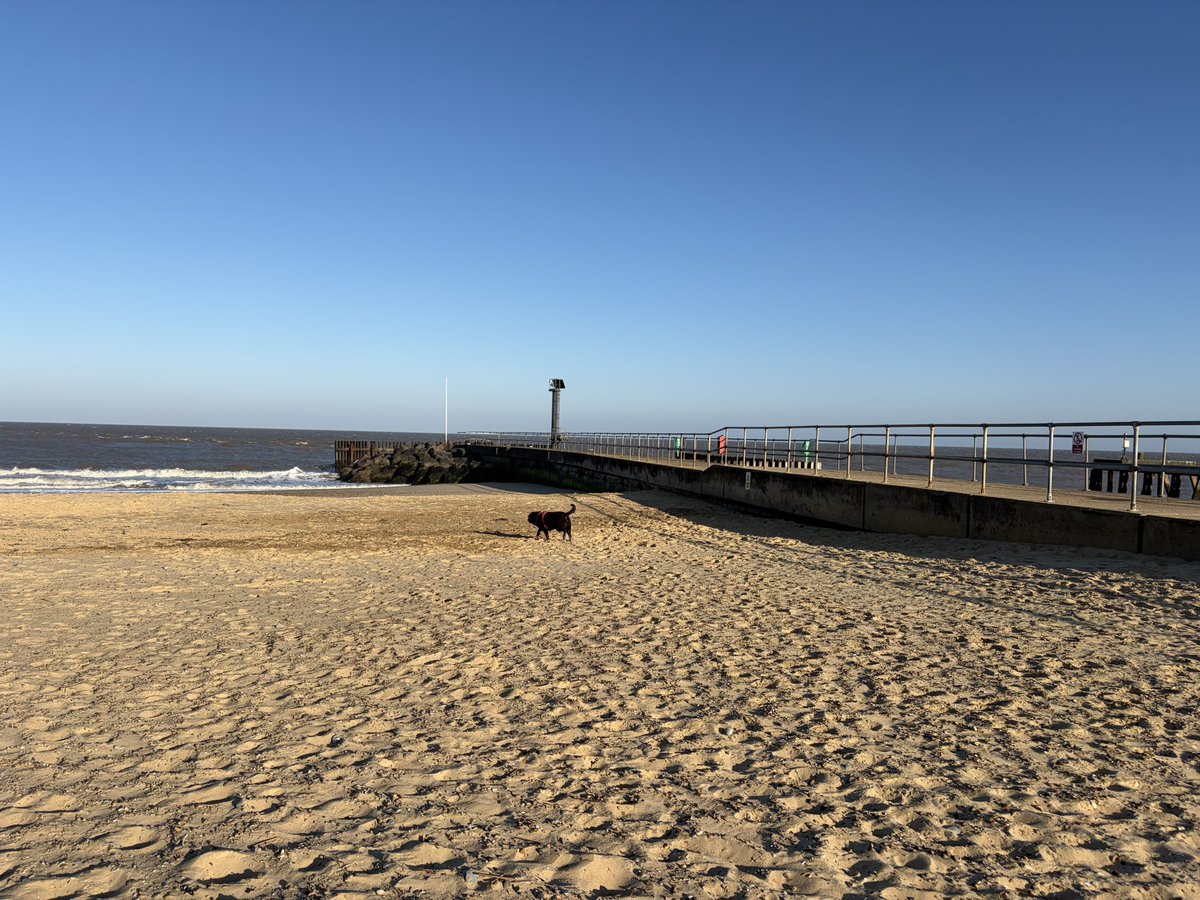 Becks and Charlie Brown tweet media