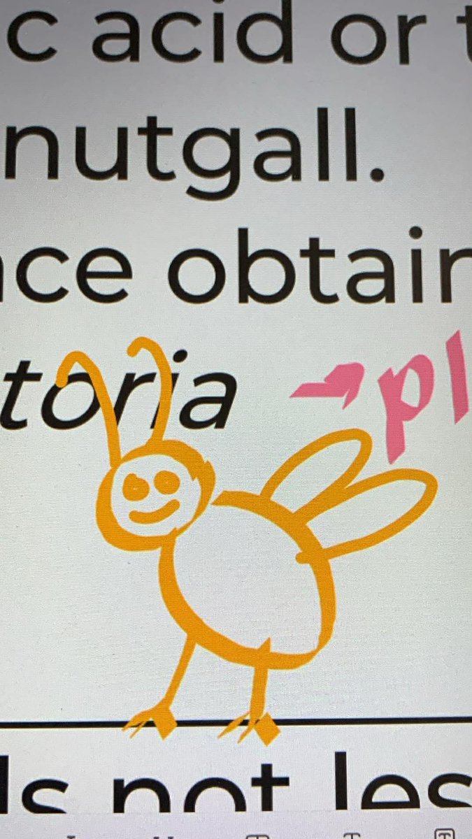 𝐦𝐢𝐤𝐚𝐲, 𝐑𝐏𝐡 𝜗ৎ tweet media