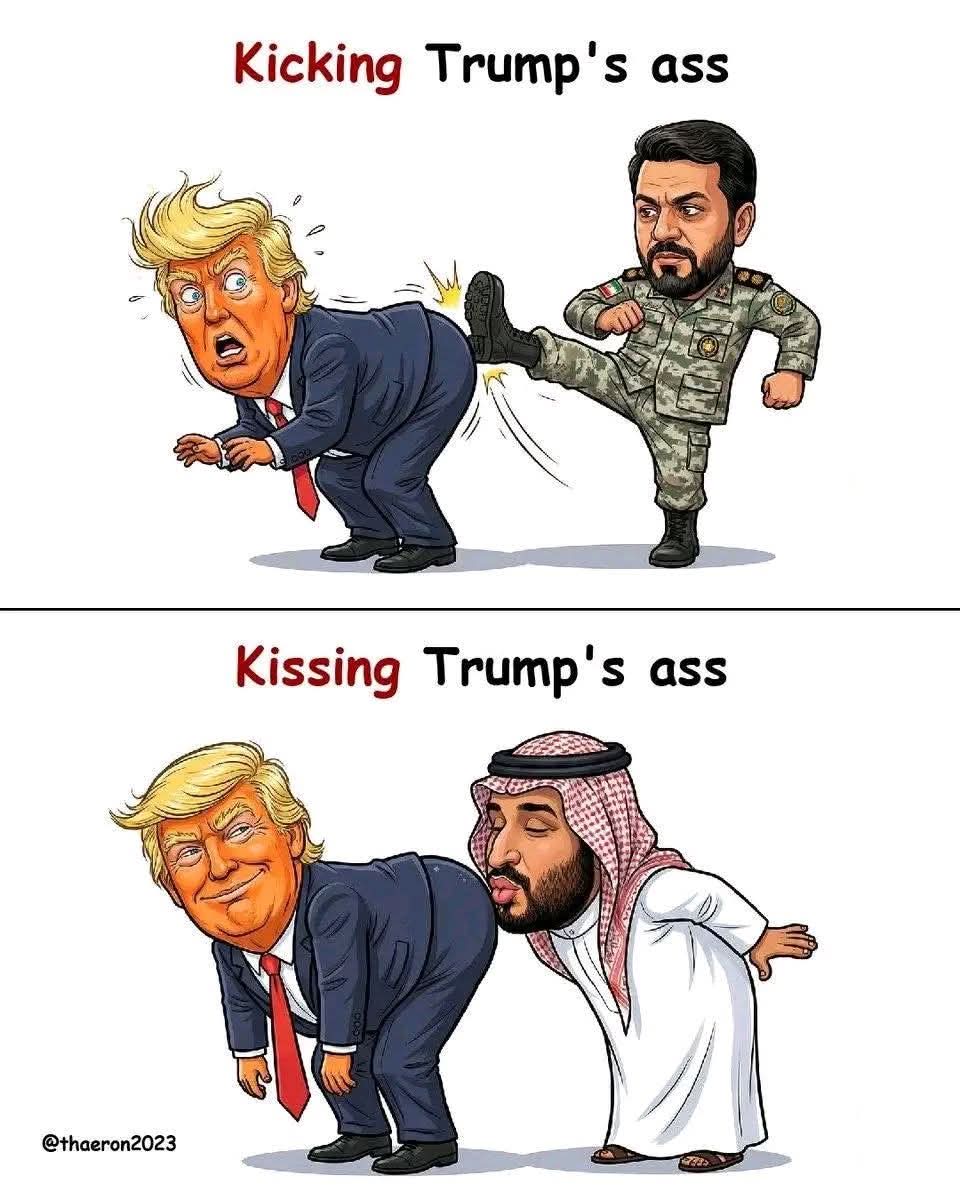 yashar alizadeh tweet media