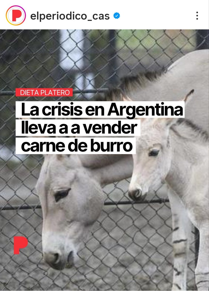 Calimero tweet media