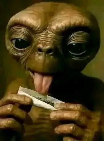 Certified vibez dada tweet media