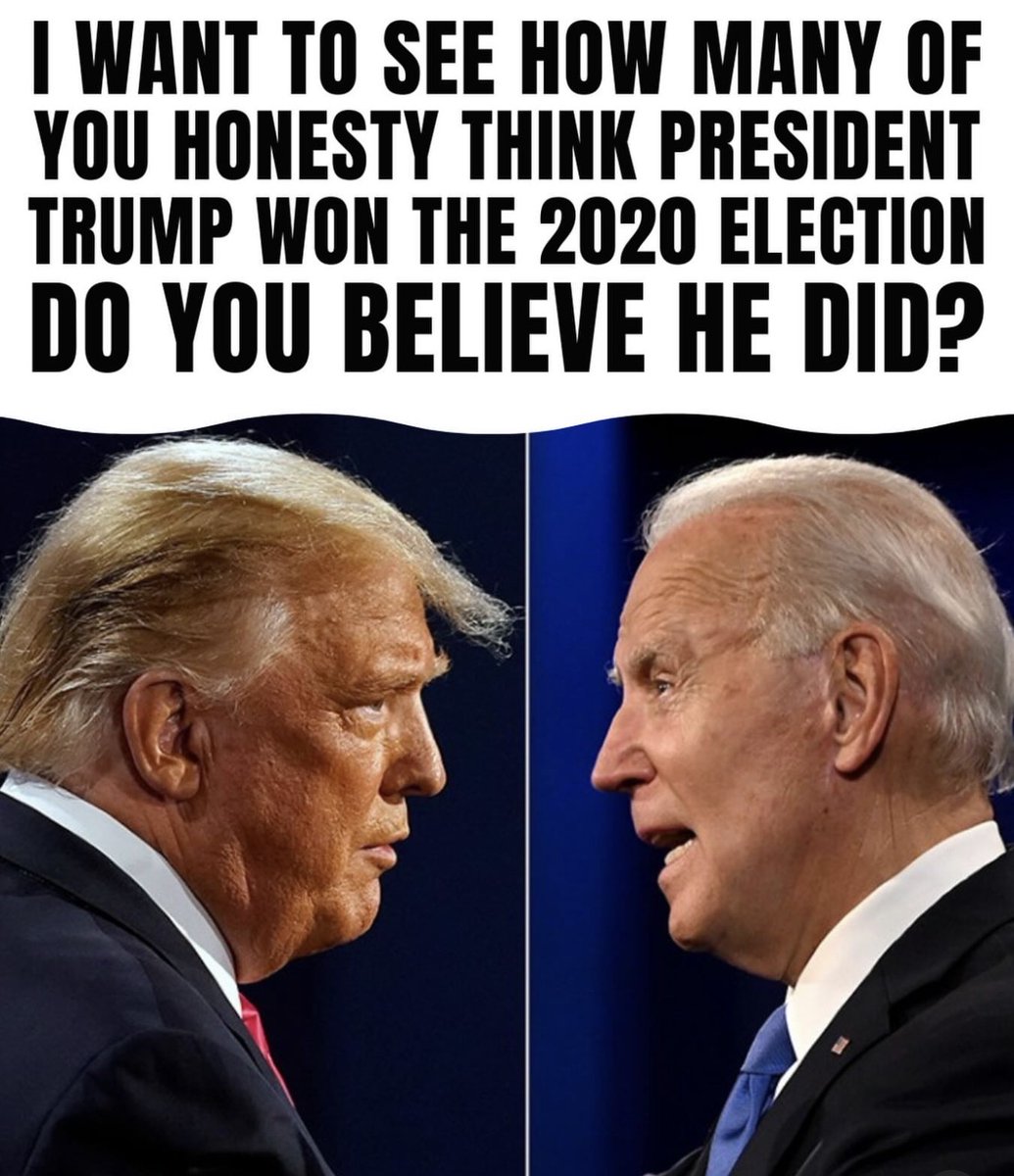 Luna Jones🇺🇸 tweet media