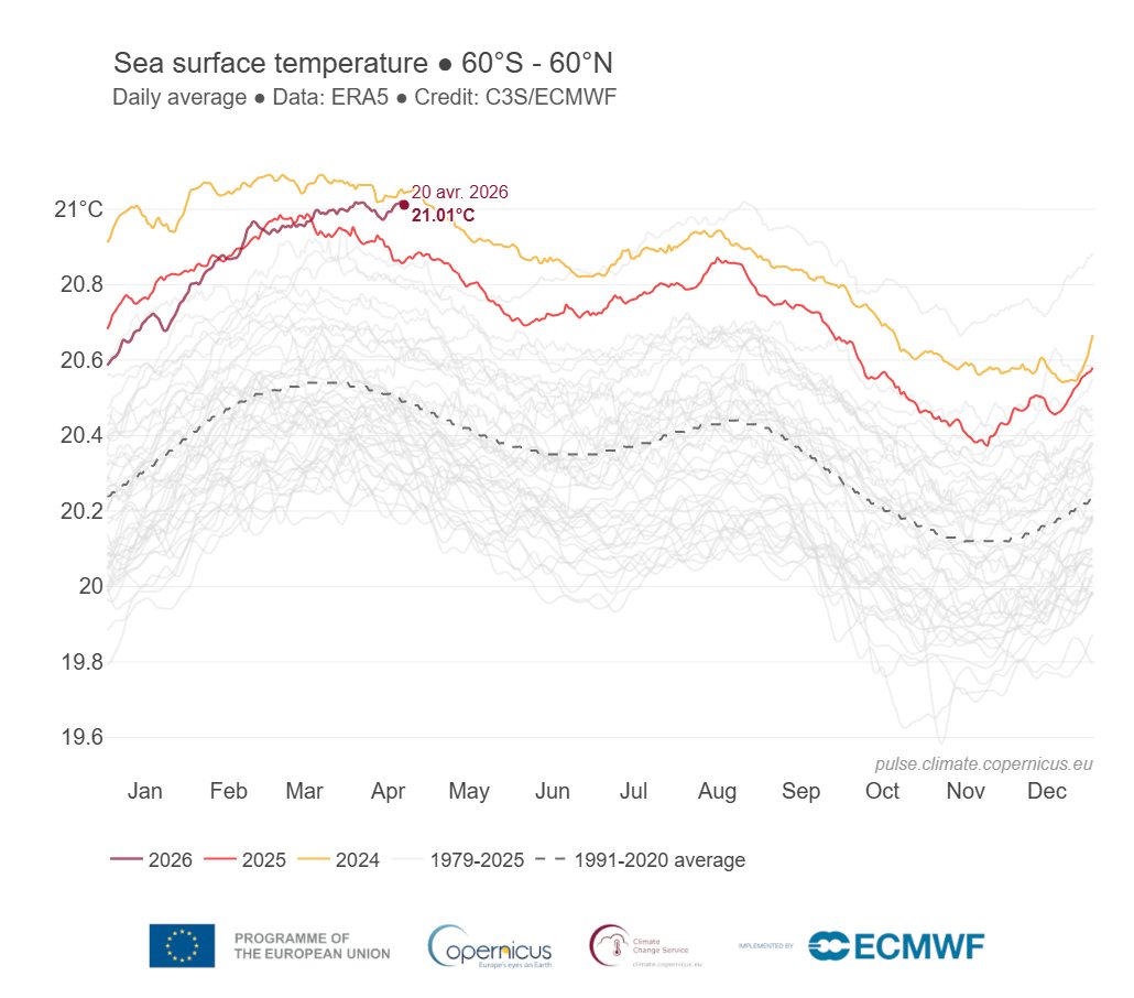 Dr. Serge Zaka (Dr. Zarge) tweet media