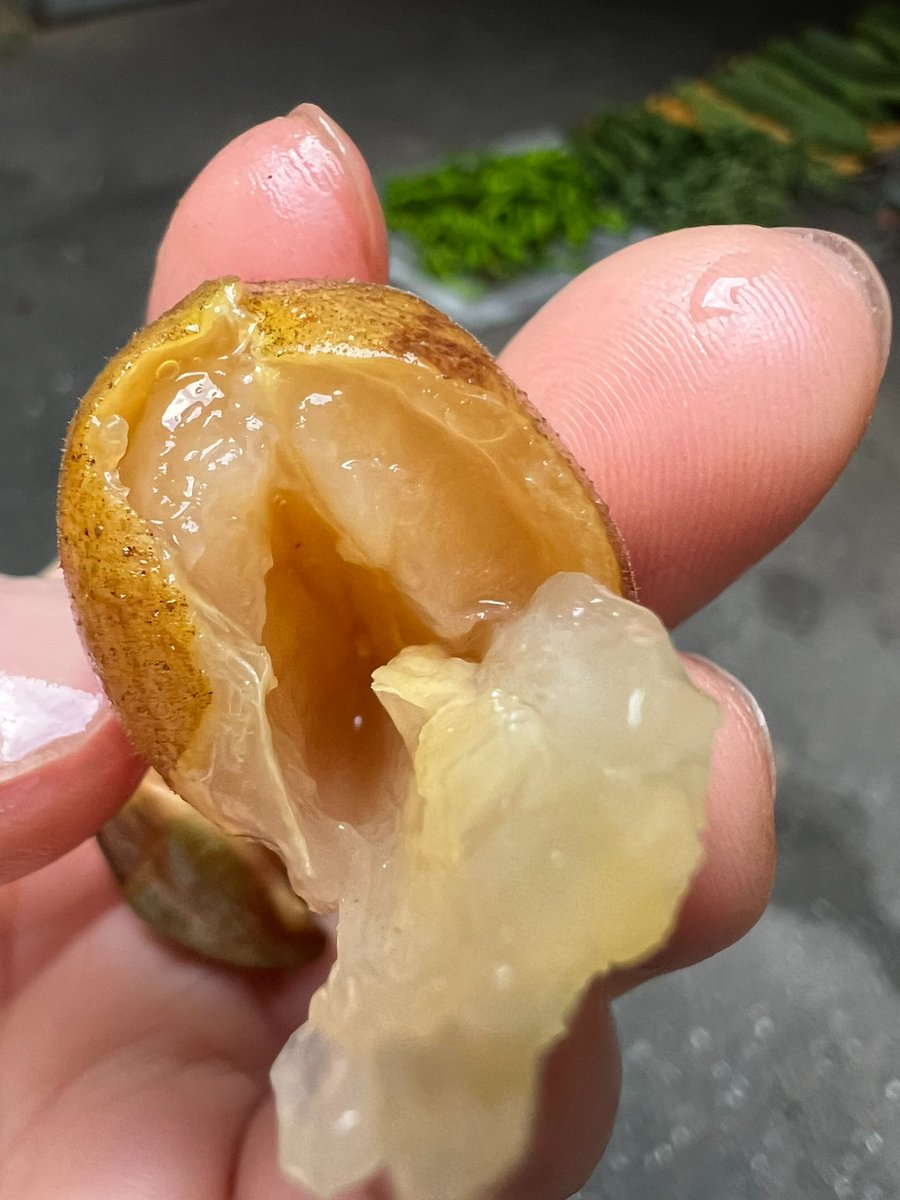 cemal karabacak tweet media