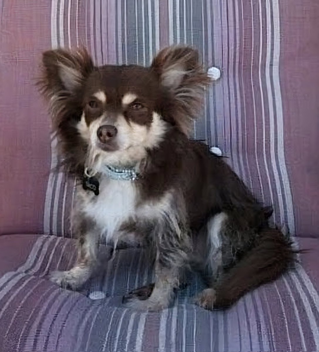 Ain't Sayin' tweet media