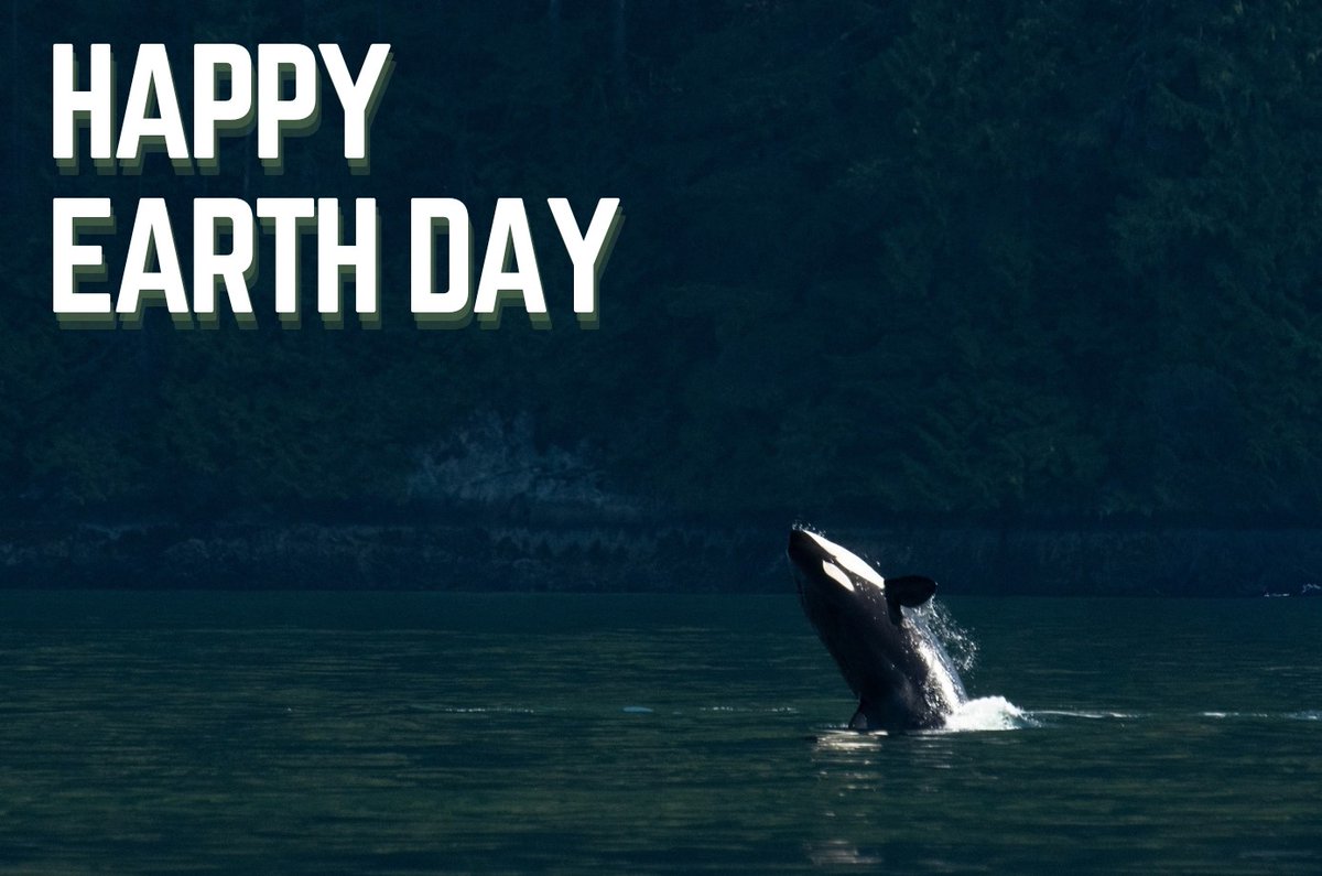 Pacific Whale Watch Association 🐳 tweet media