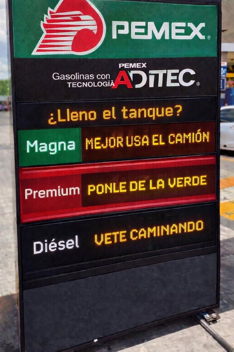 La lagartija 🦎 y sus frases 😂😂😂