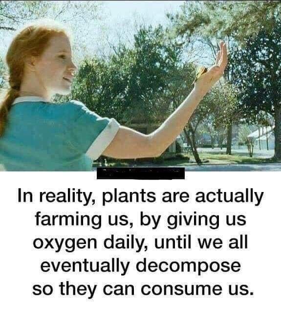 Neilfan12's tweet image. 🌎👨‍🌾🤔 #EarthDay #Farming #DeepThoughts 🤔👩‍🌾🌎