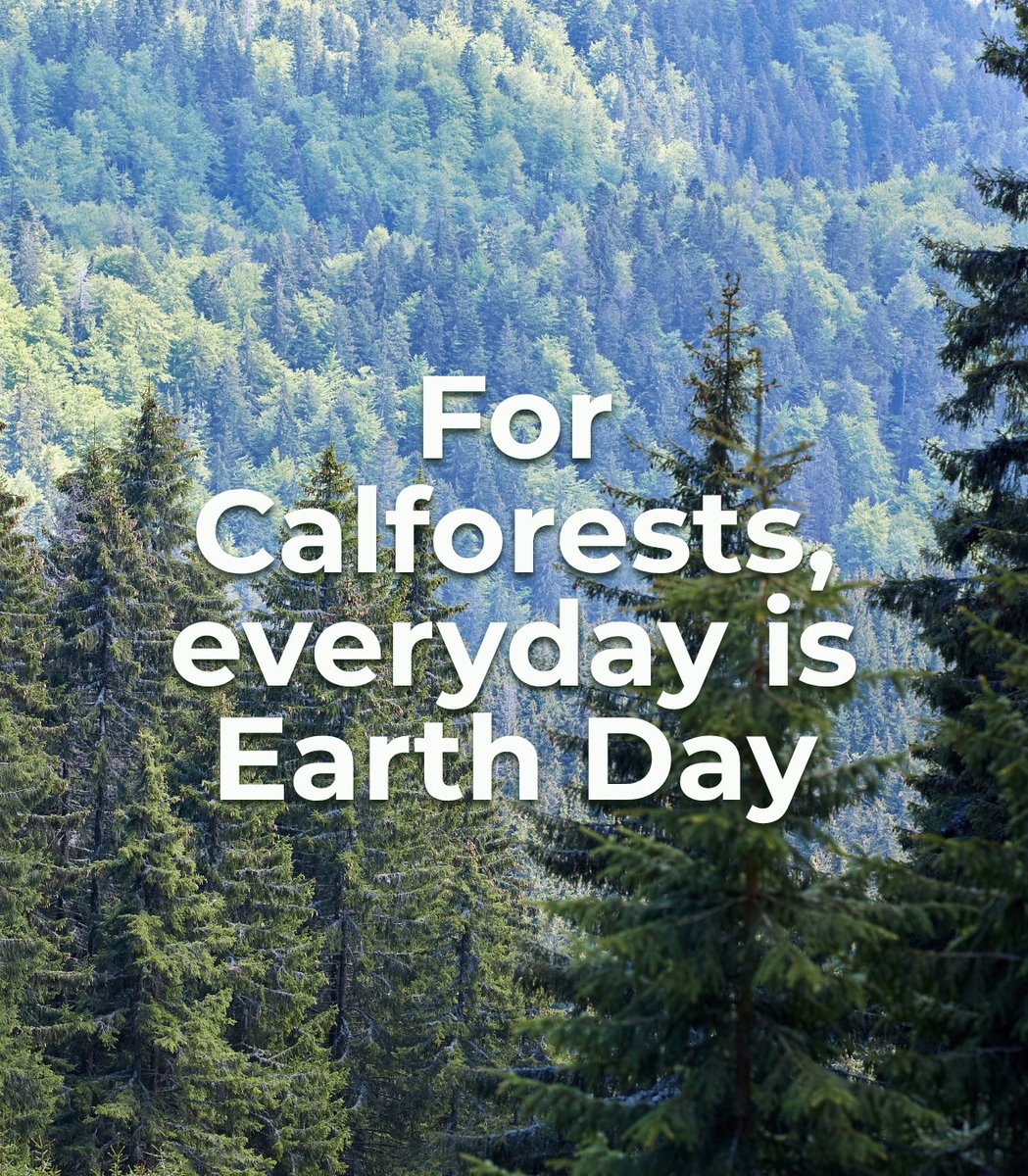 California Forestry Association tweet media