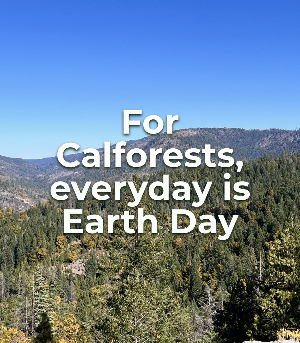 California Forestry Association tweet media