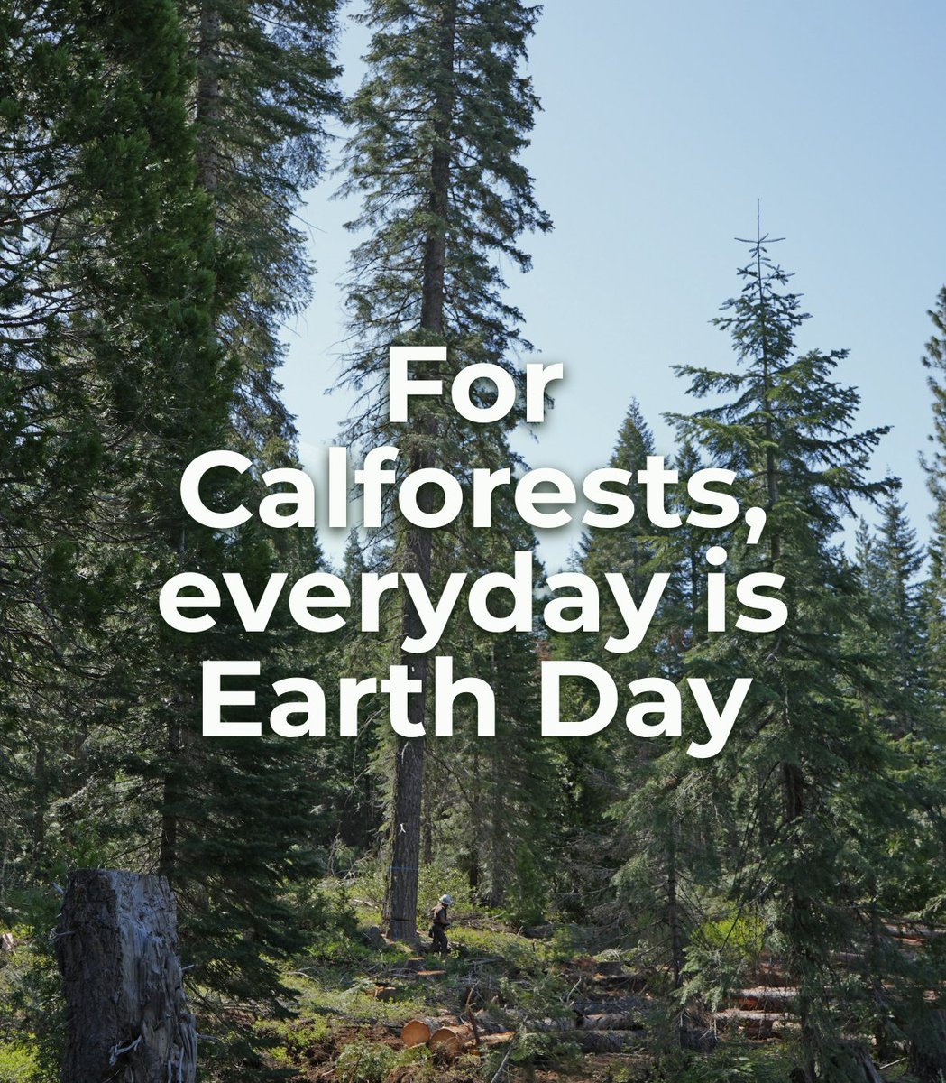 California Forestry Association tweet media
