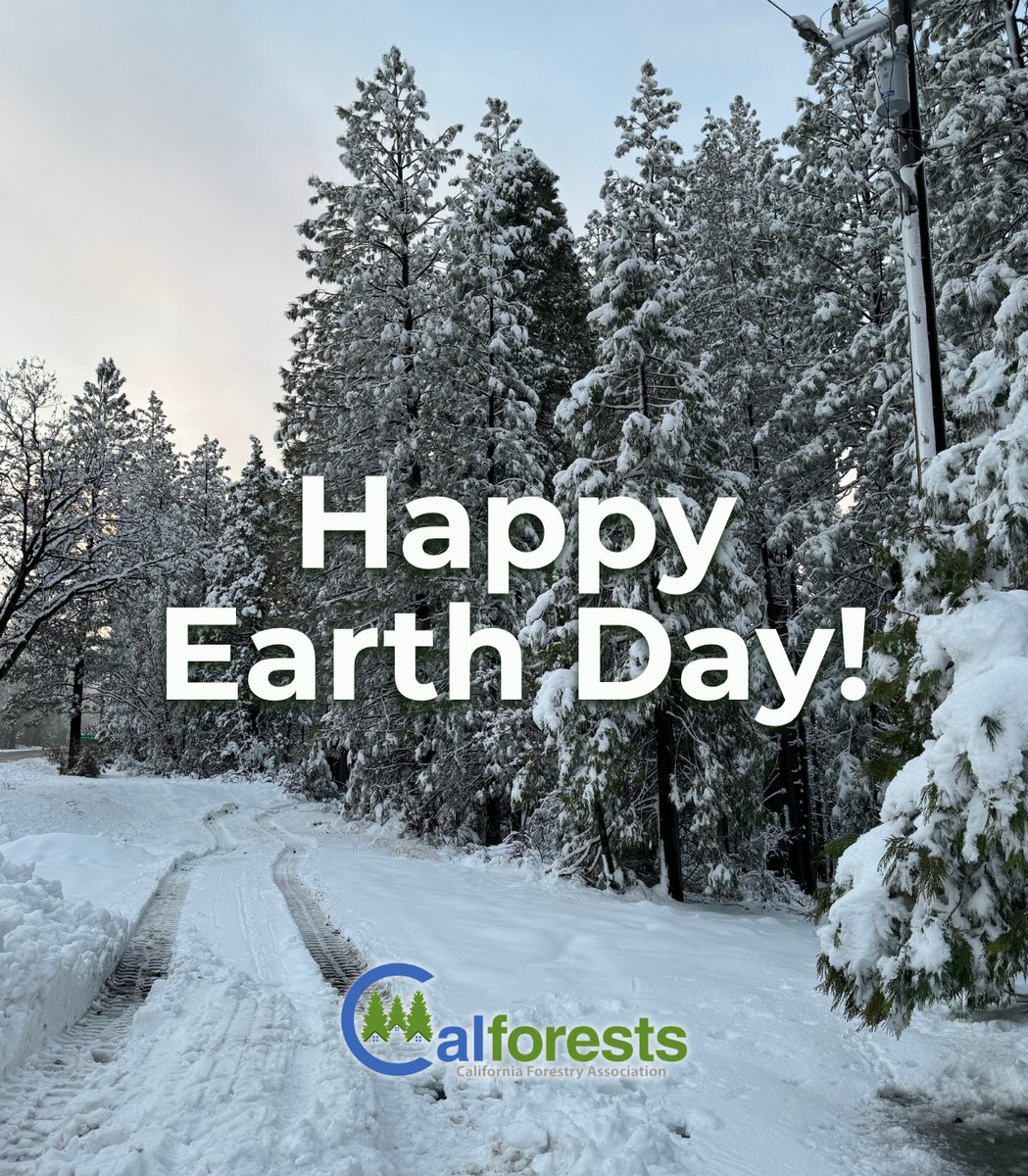 California Forestry Association tweet media