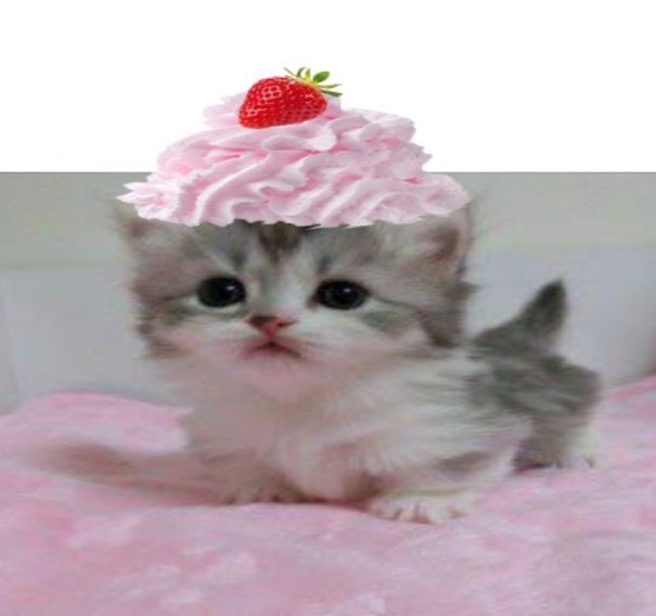 lilly ୭ ᵎᵎ 🧁 tweet media