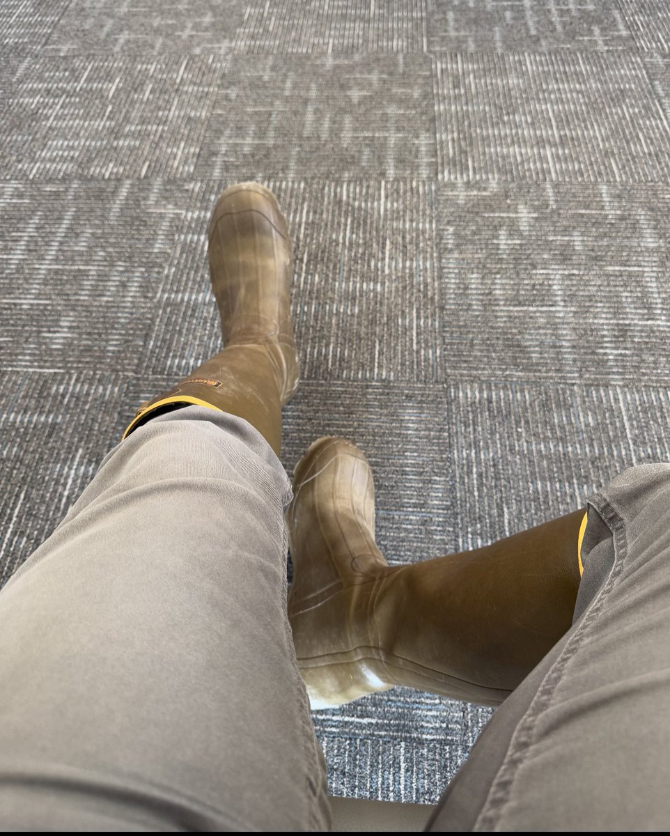 Bootstud tweet media