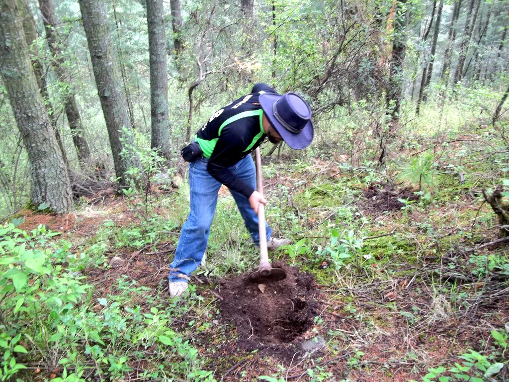 Caballero de Osiris .·. tweet media