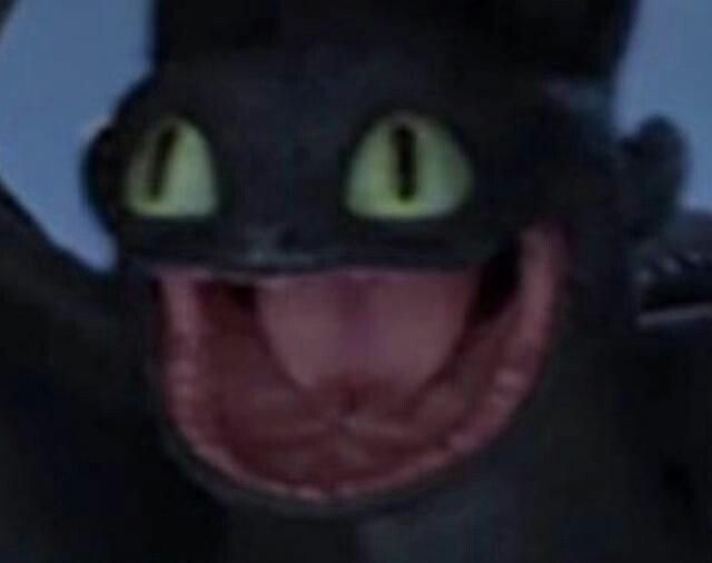 𝐹𝐼𝐺𝐴𝑅⃢𝑈᪼🐟 tweet media