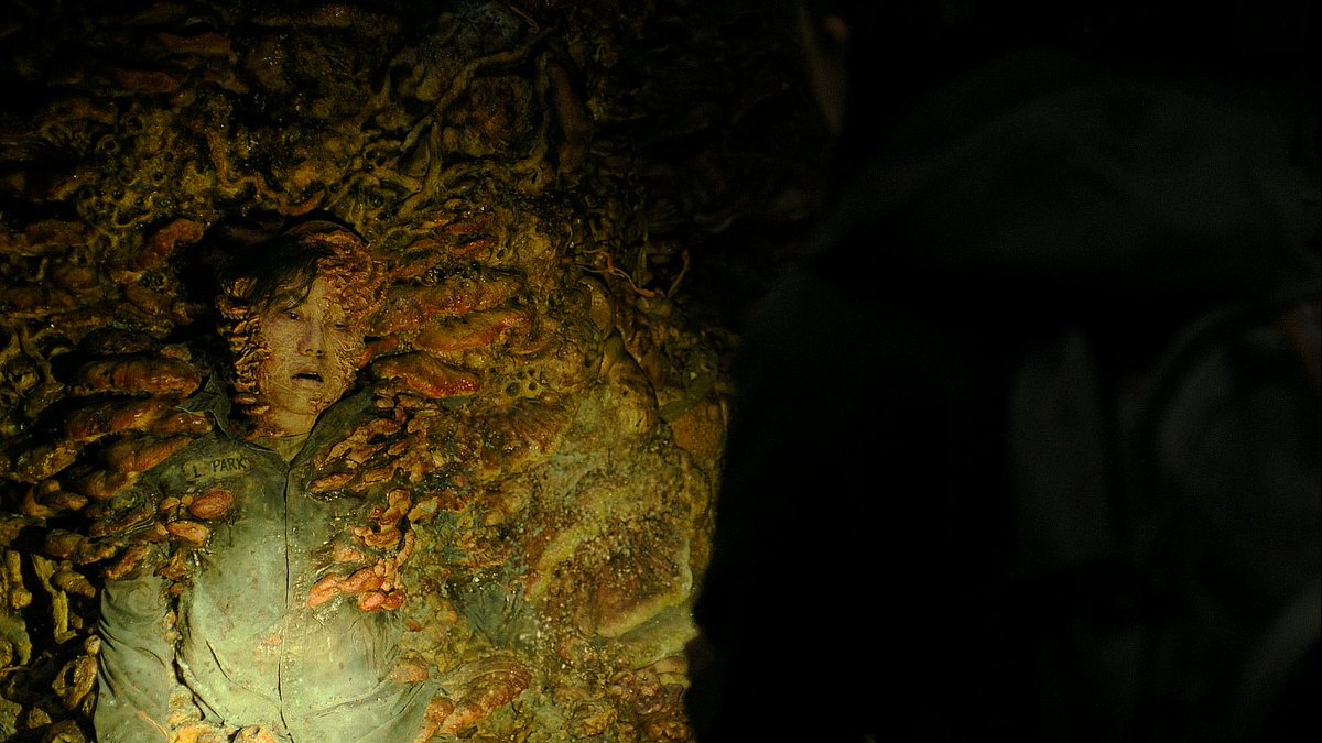 نوتي دوغ بالعربية tweet media