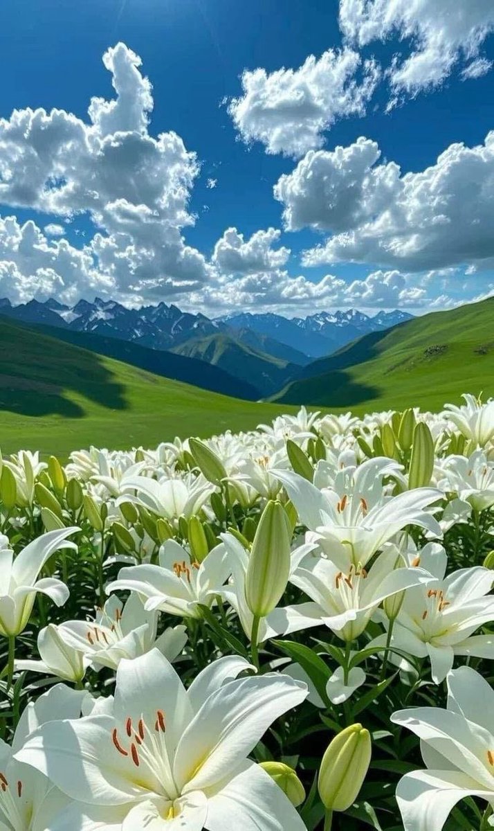 landspace tweet media