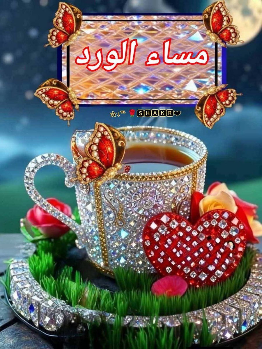 أحب الراحه وامتعه tweet media