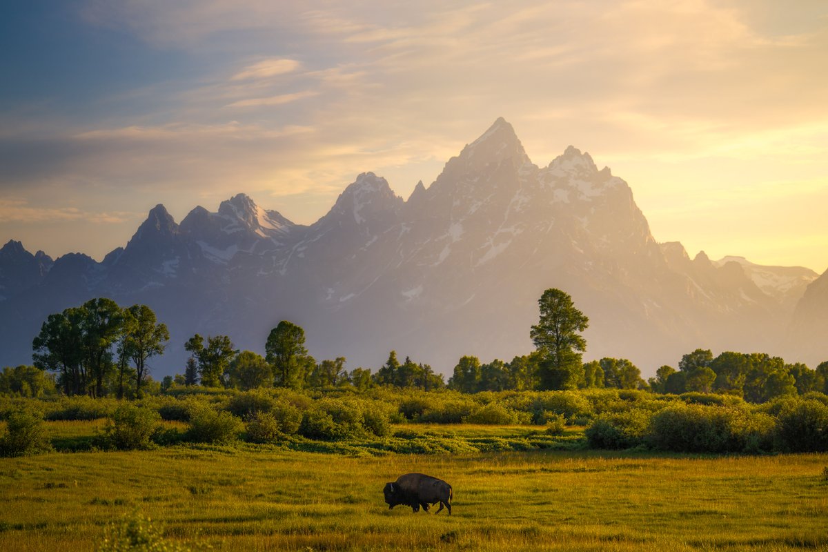 Nateinthewild | Nate Luebbe tweet media