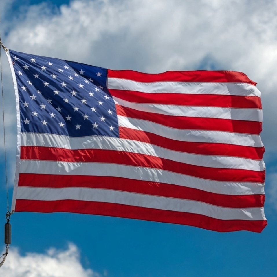 XRP CAPTAIN tweet media