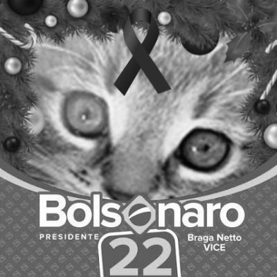 seu diabo tweet media