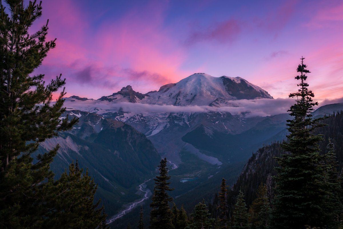 Nateinthewild | Nate Luebbe tweet media