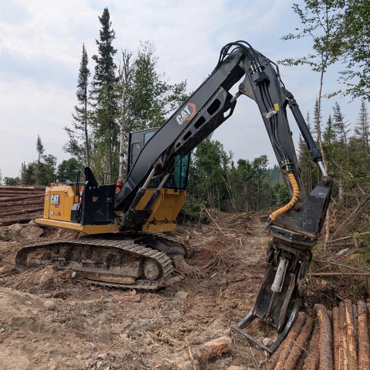 ForestryTrader tweet media