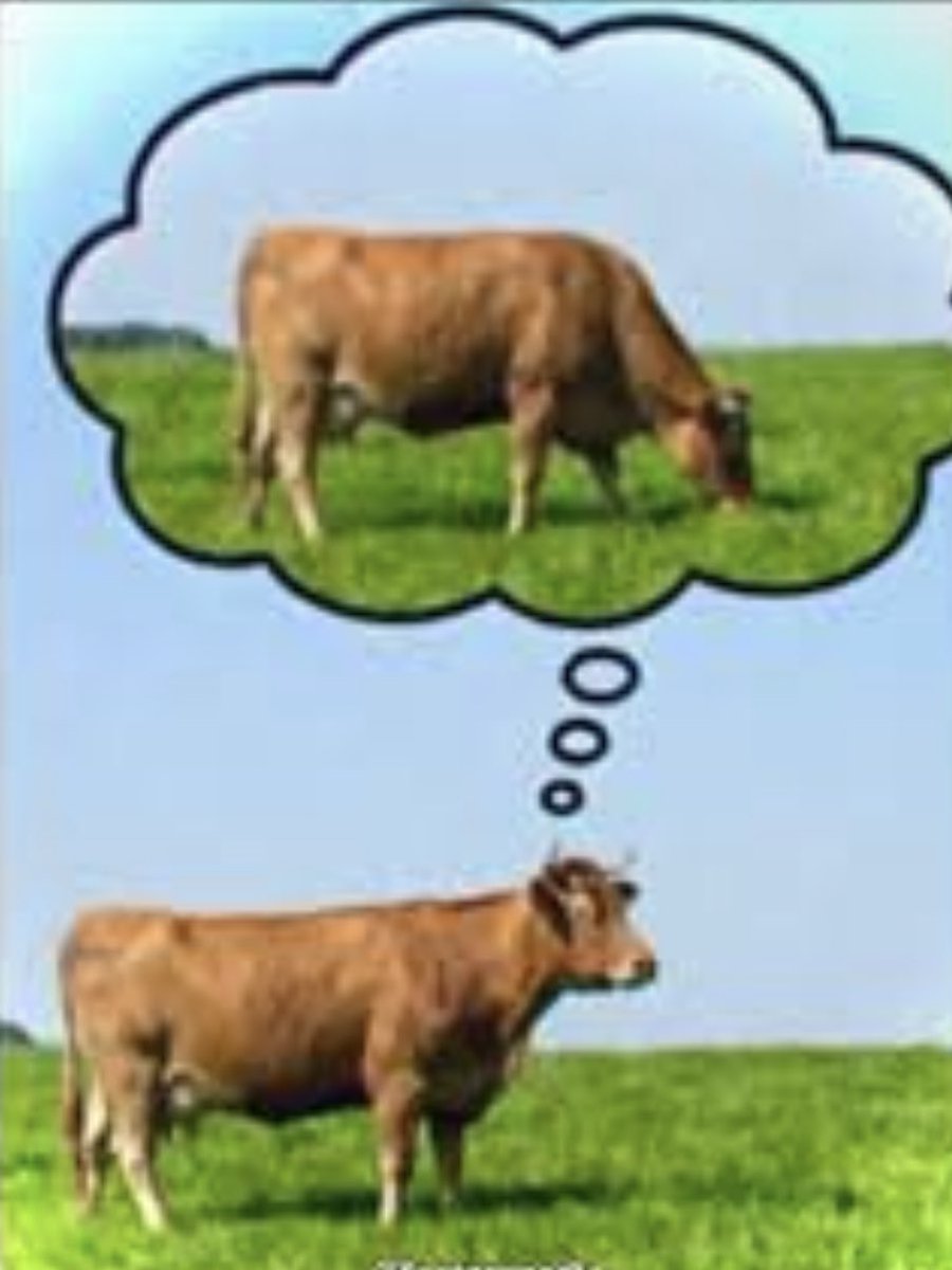 PoinDexter tweet media